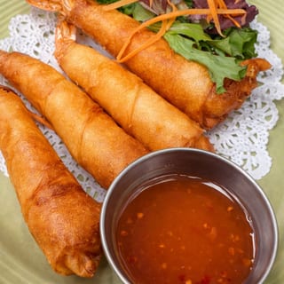 Pinky in the Blanket(5)